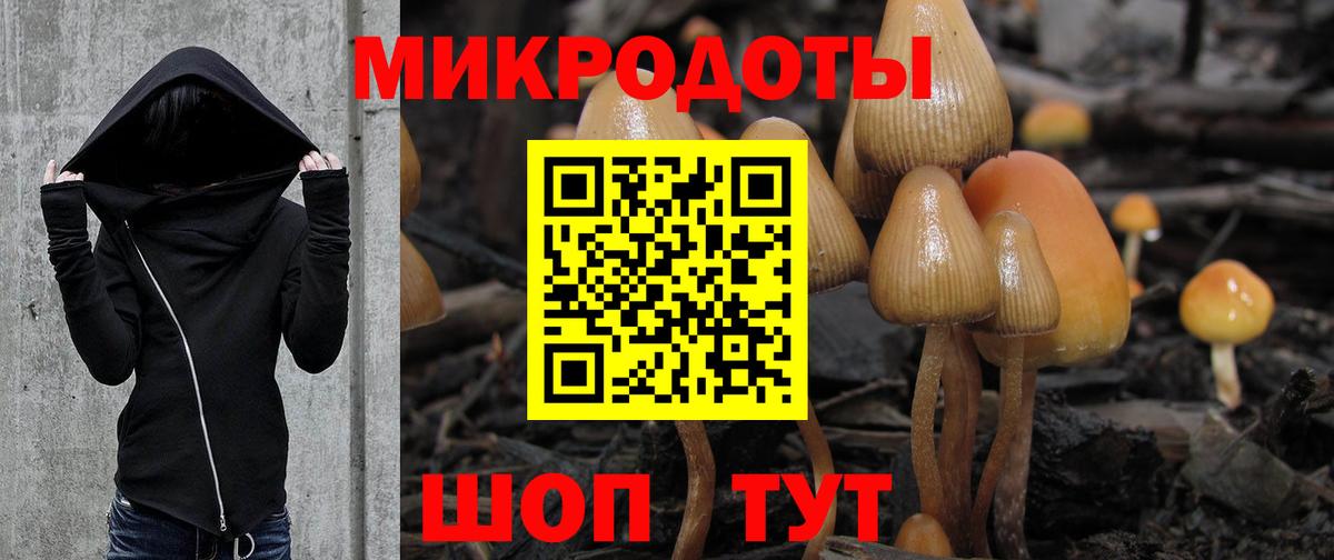 Псилоцибиновые грибы Psilocybine cubensis  Вход с VPN  Россошь 