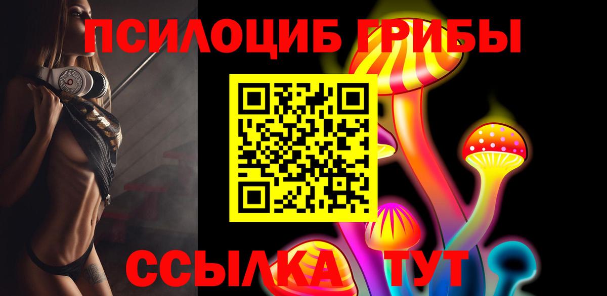 Галлюциногенные грибы Psilocybine cubensis Россошь
